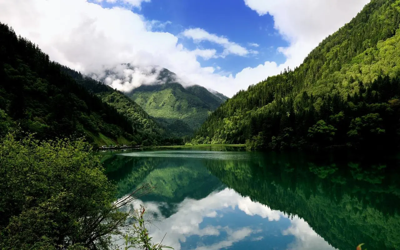 高性能高性能智能